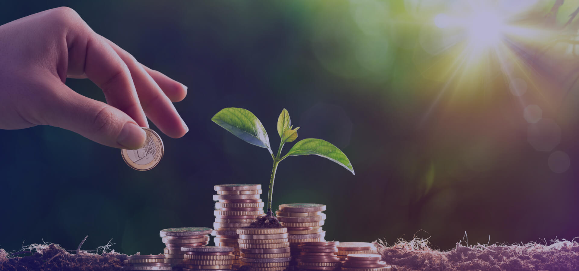 Sunshine For Growing Your Wealth